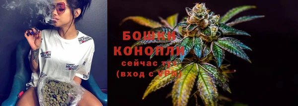 МДПВ Михайлов