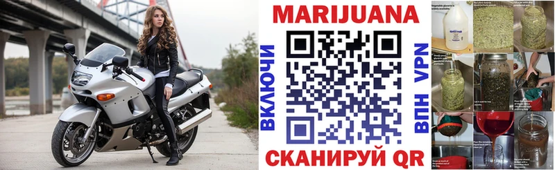 МАРИХУАНА ГИДРОПОН  продажа наркотиков  Нестеров 